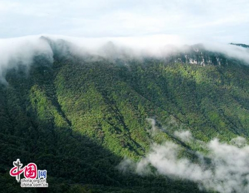 神农架 最具神秘感的绝美风景区