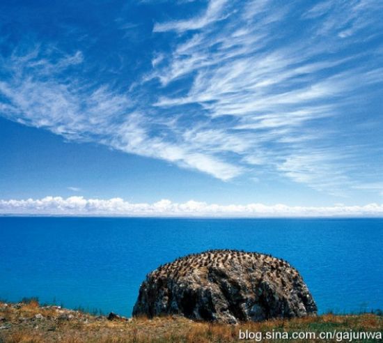 青海湖 青海湖