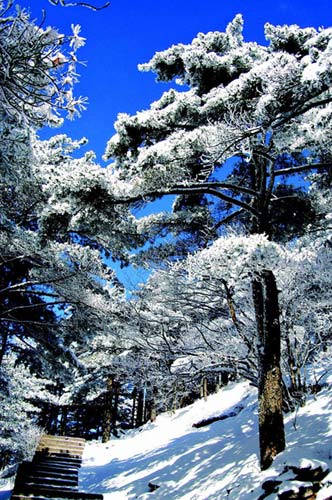 黄山风光