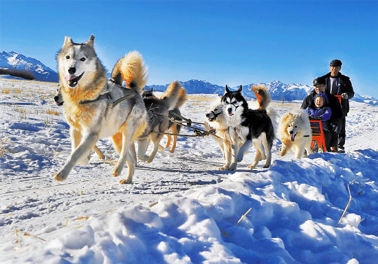 别样感“冻”特色冰雪游