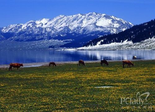 户外挑战极限:全球十大夺命雪峰盘点 户外挑战极限:全球十大夺命雪峰盘点