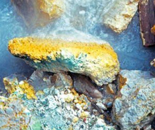 黄石公园温泉惊现“异形生物” 黄石公园温泉惊现“异形生物”