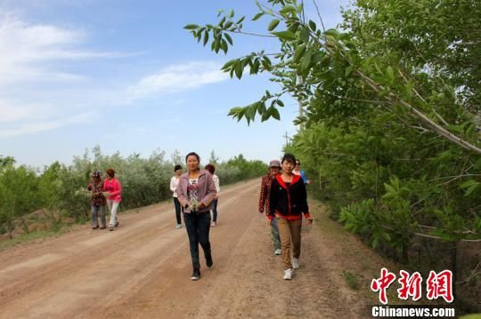 新疆“三北”防护林生态旅游乐