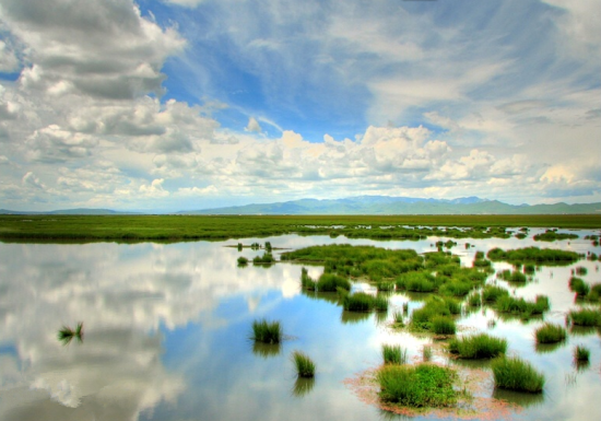 醉美湿地 醉美湿地