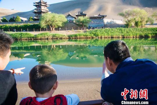 敦煌月牙泉现罕见“铁背鱼”:游人争相围观