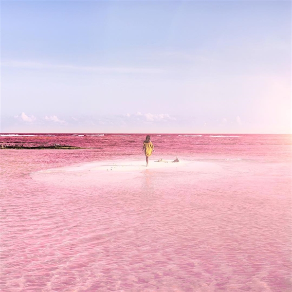 世界唯一粉色沙滩：性感、梦幻