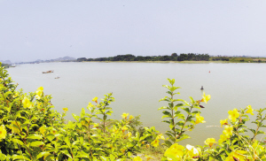 东江水源地。