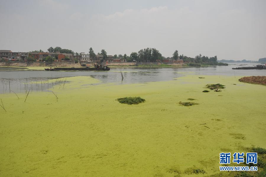 七成入皖淮河支流重度污染 巢湖水质受严重 - 